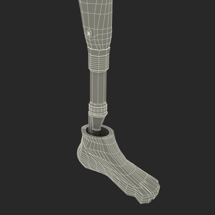 3D Prosthetic Leg Rigged