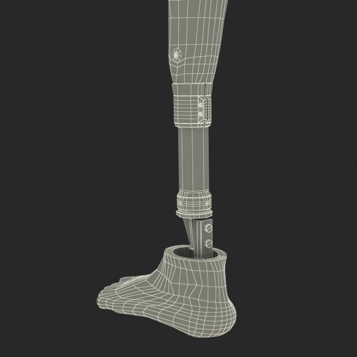 3D Prosthetic Leg Rigged