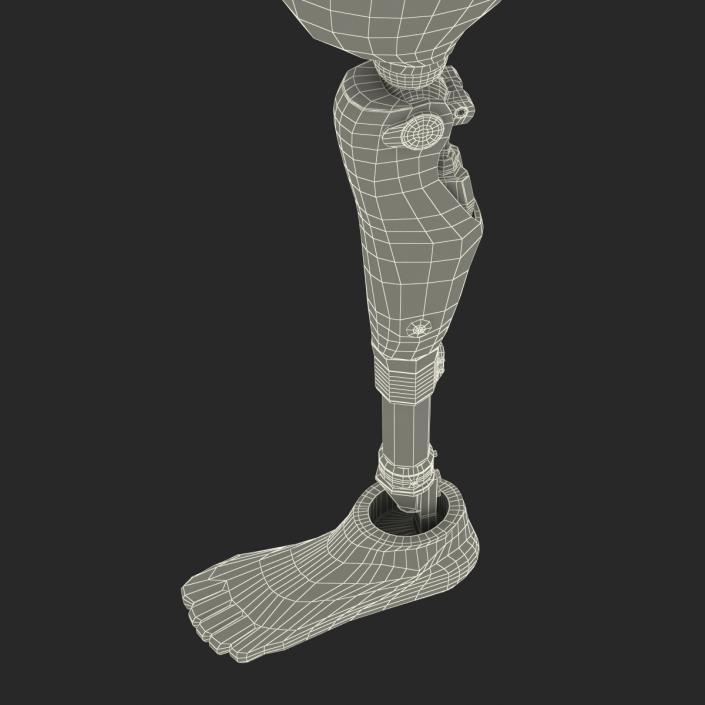 3D Prosthetic Leg Rigged