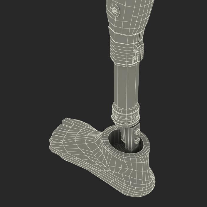 3D Prosthetic Leg Rigged