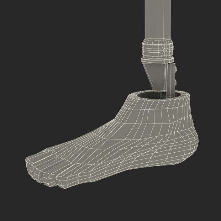 3D Prosthetic Leg Rigged