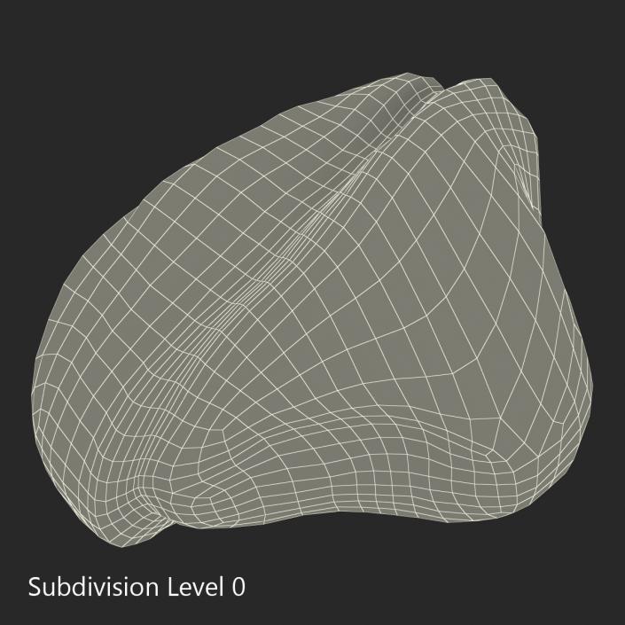 Stone 2 3D model