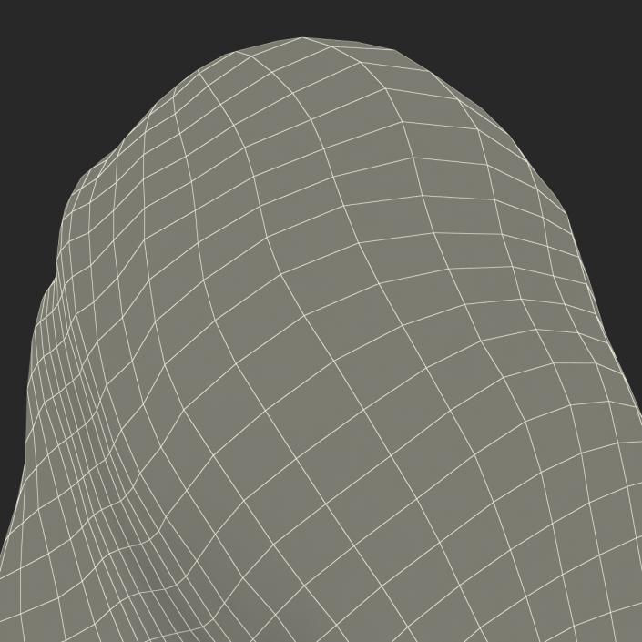 Stone 2 3D model