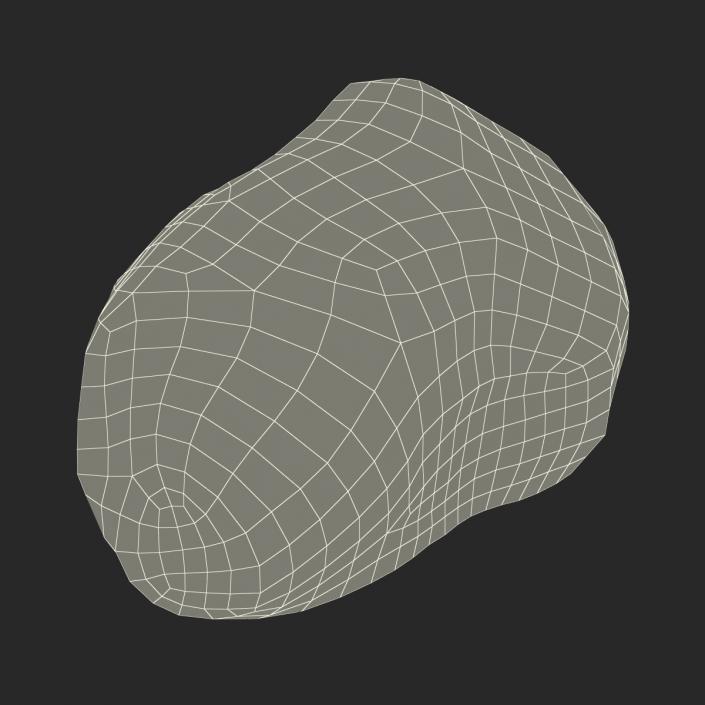 Stone 8 3D model