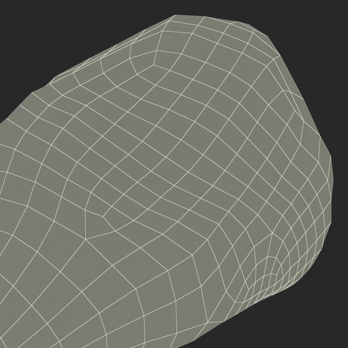 Stone 8 3D model