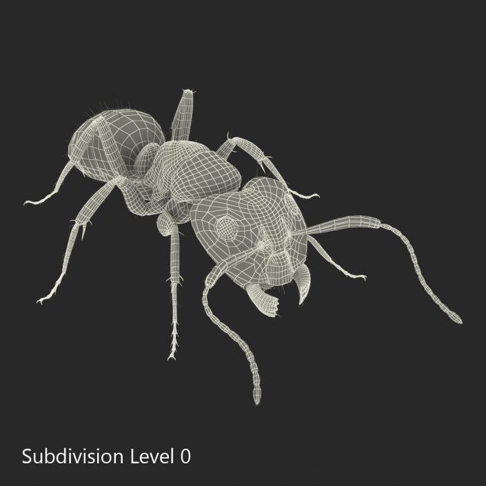 3D Red Ant with Fur Pose 3 model