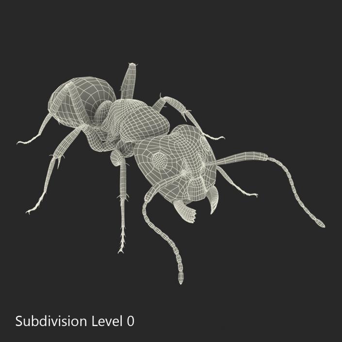 Red Ant Pose 3 3D model