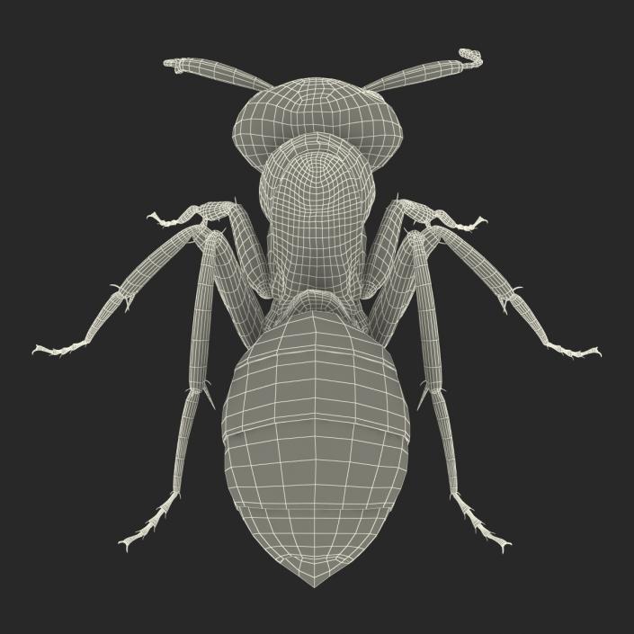 Red Ant Pose 3 3D model