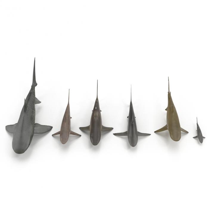 Sharks Collection 2 3D model