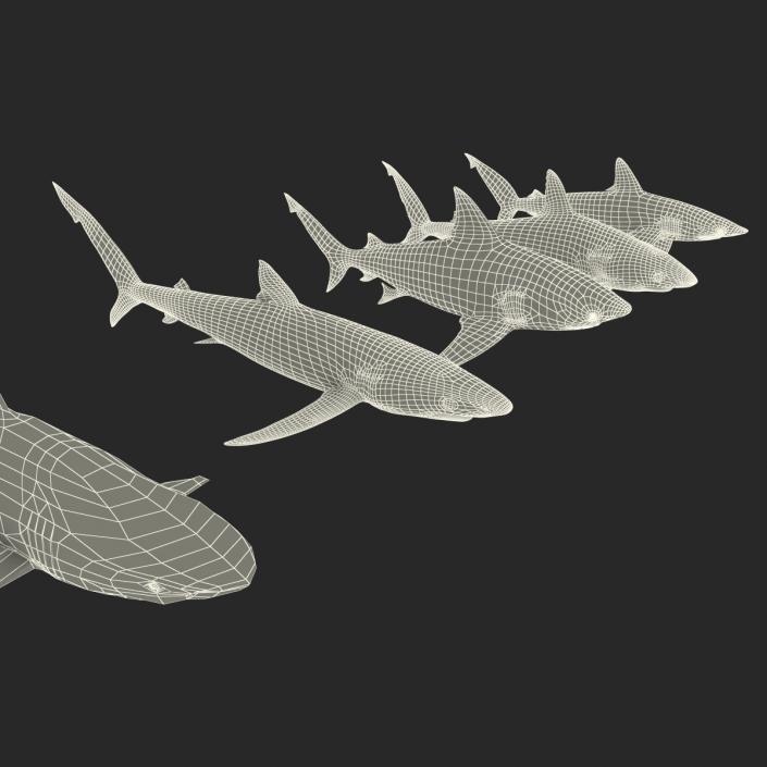 Sharks Collection 2 3D model