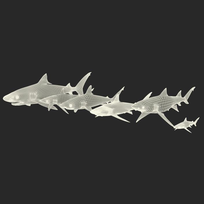 Sharks Collection 2 3D model