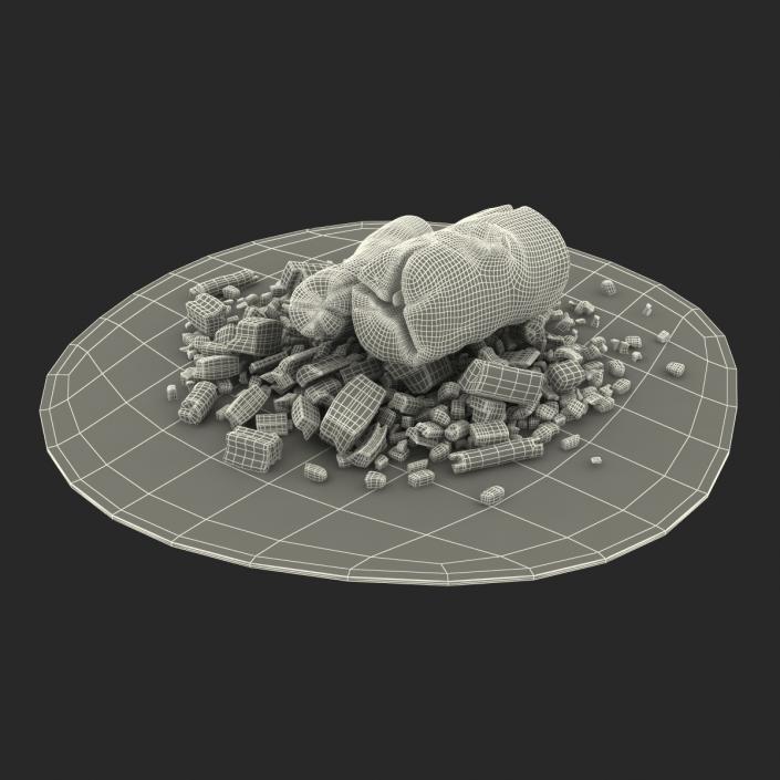 3D model Campfire