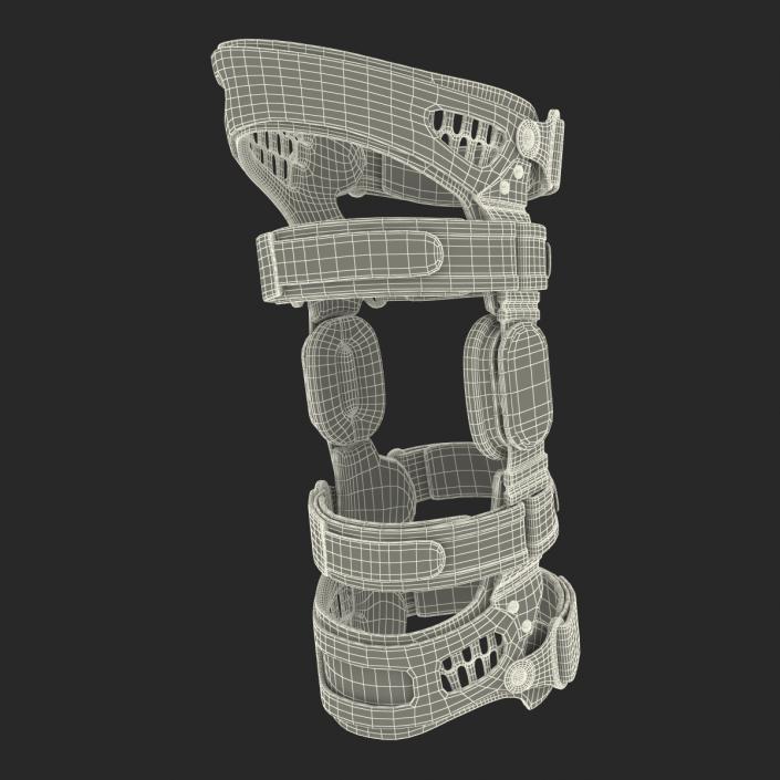 3D model Knee Brace Breg