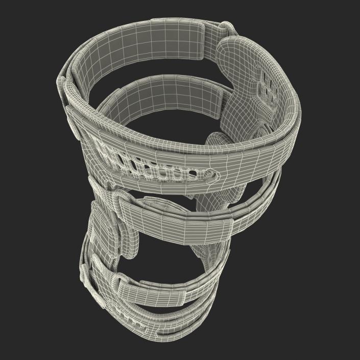 3D model Knee Brace Breg