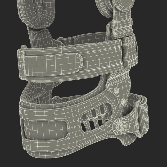 3D model Knee Brace Breg