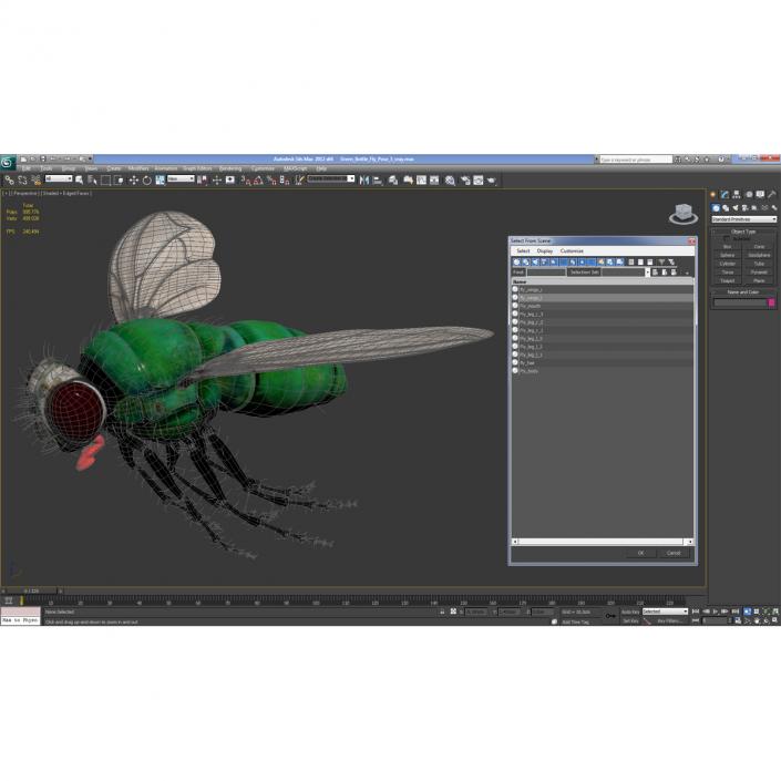 3D Green Bottle Fly Pose 3 model