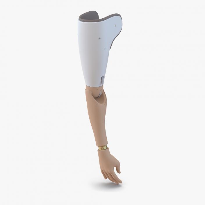 Prosthetic Arm 3D model