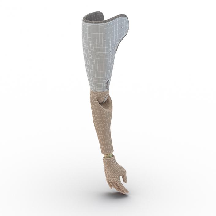 Prosthetic Arm 3D model