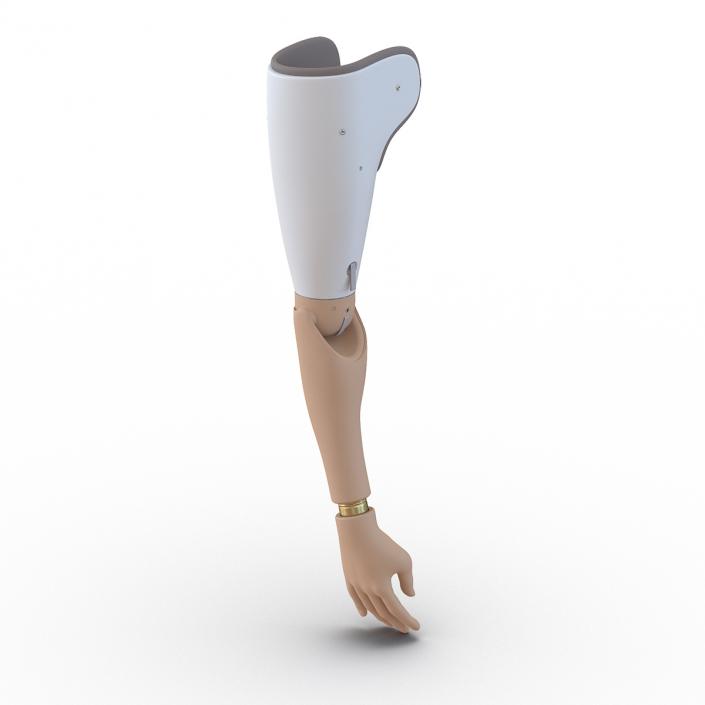 Prosthetic Arm 3D model