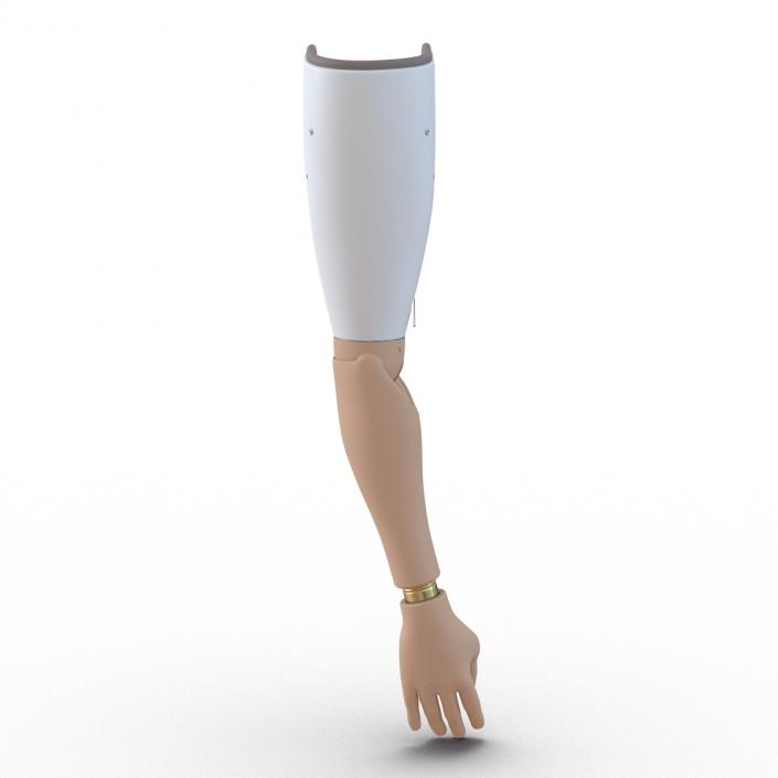 Prosthetic Arm 3D model