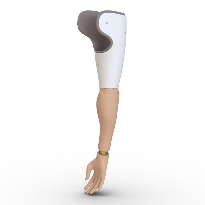 Prosthetic Arm 3D model