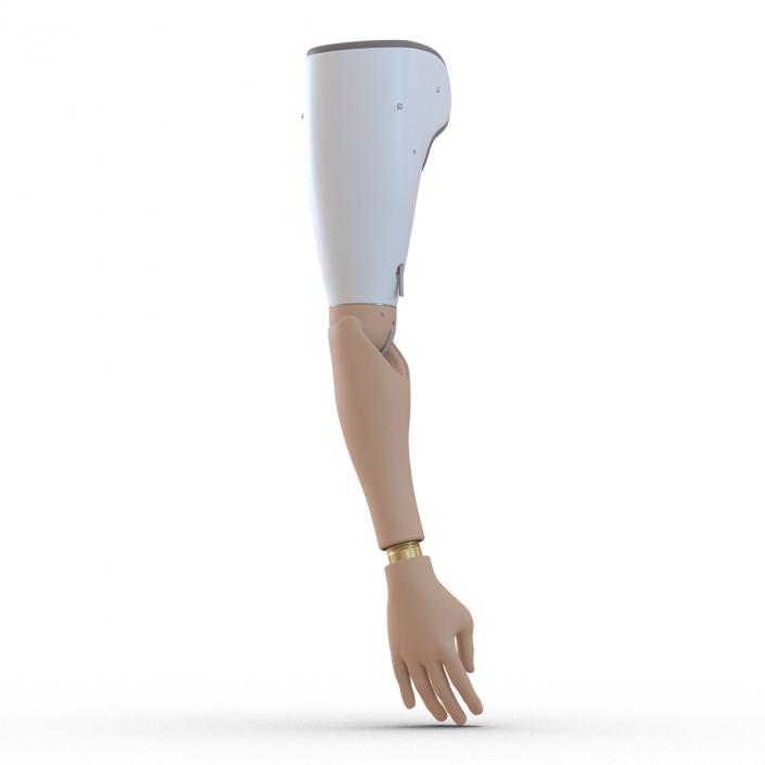 Prosthetic Arm 3D model