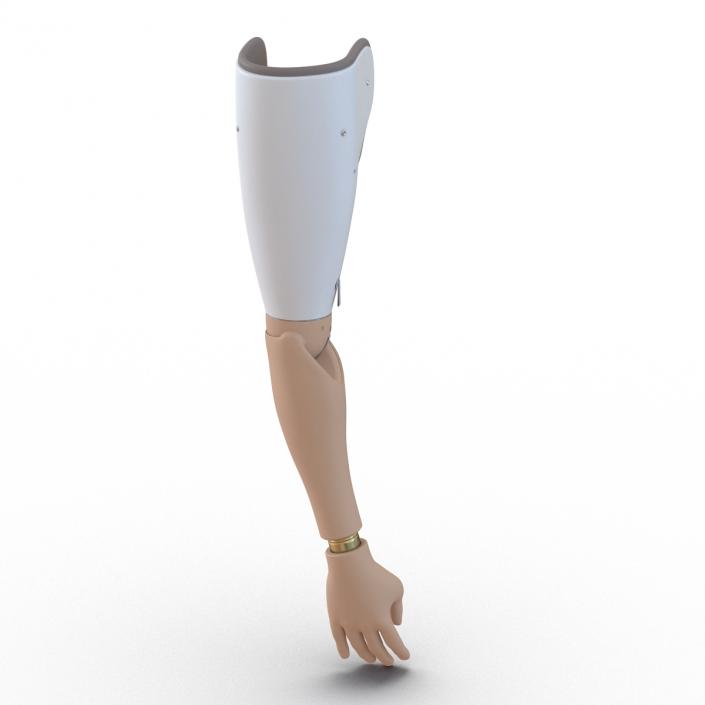 Prosthetic Arm 3D model