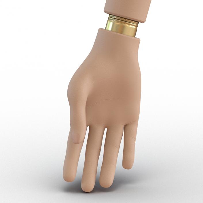 Prosthetic Arm 3D model