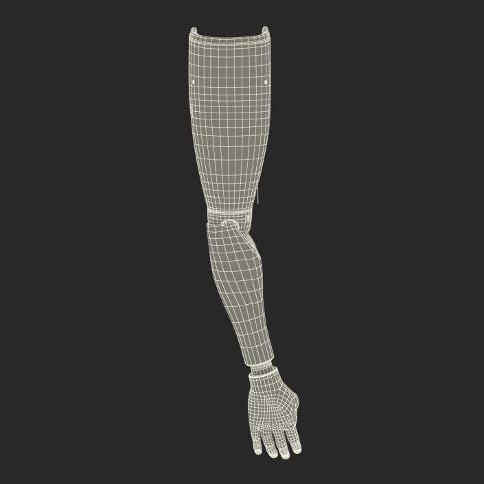 Prosthetic Arm 3D model