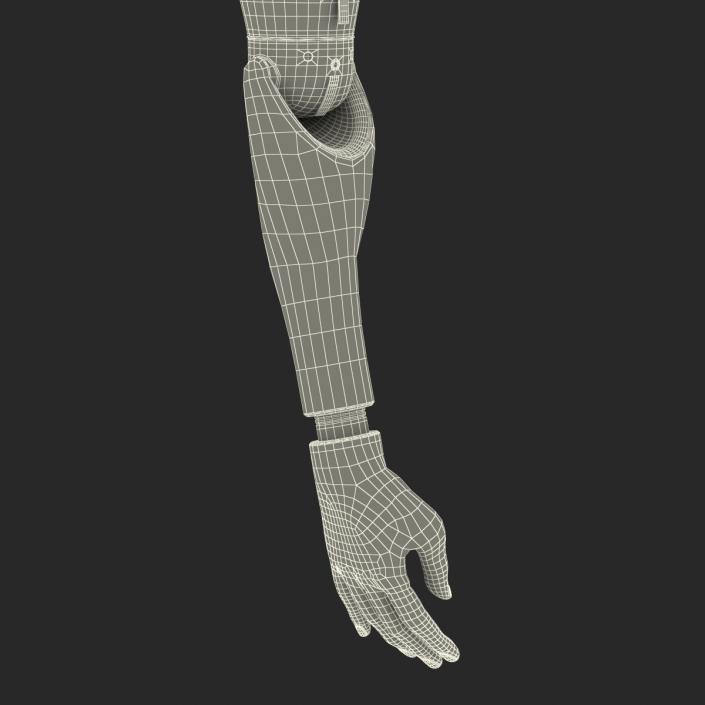 Prosthetic Arm 3D model