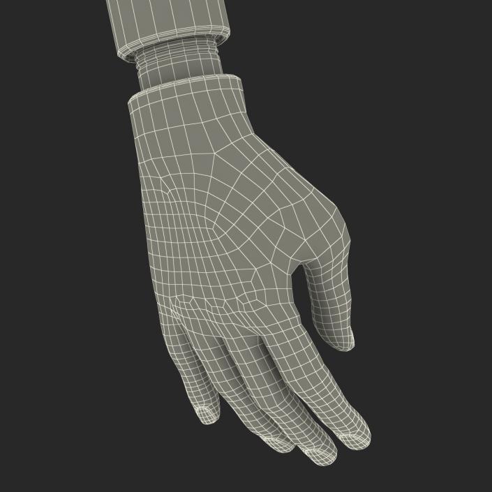 Prosthetic Arm 3D model