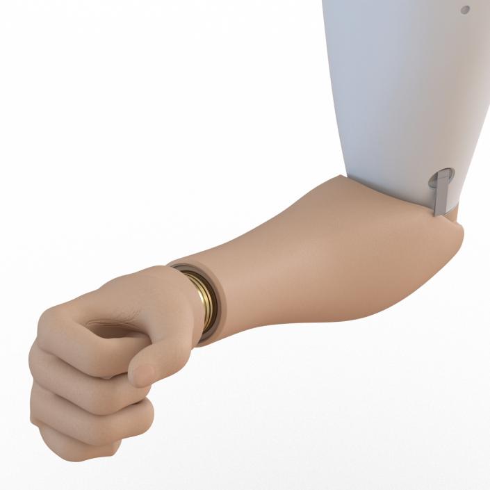 3D Prosthetic Arm Rigged