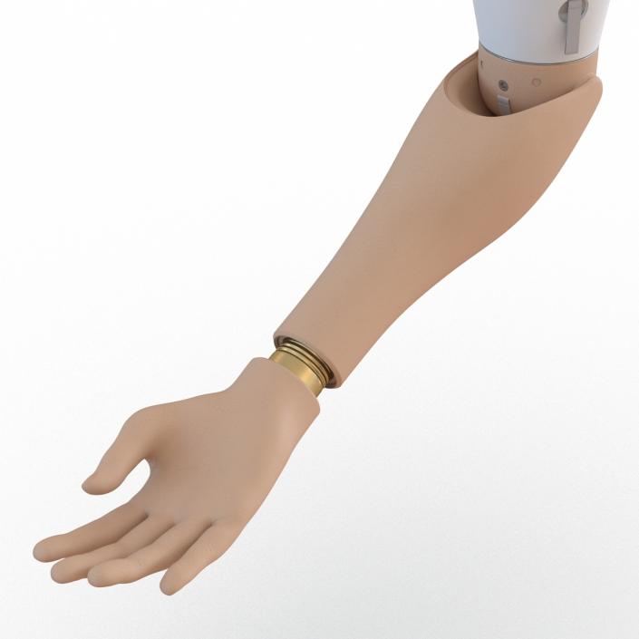 3D Prosthetic Arm Rigged