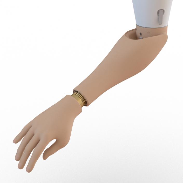 3D Prosthetic Arm Rigged