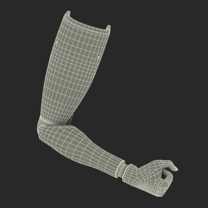 3D Prosthetic Arm Rigged