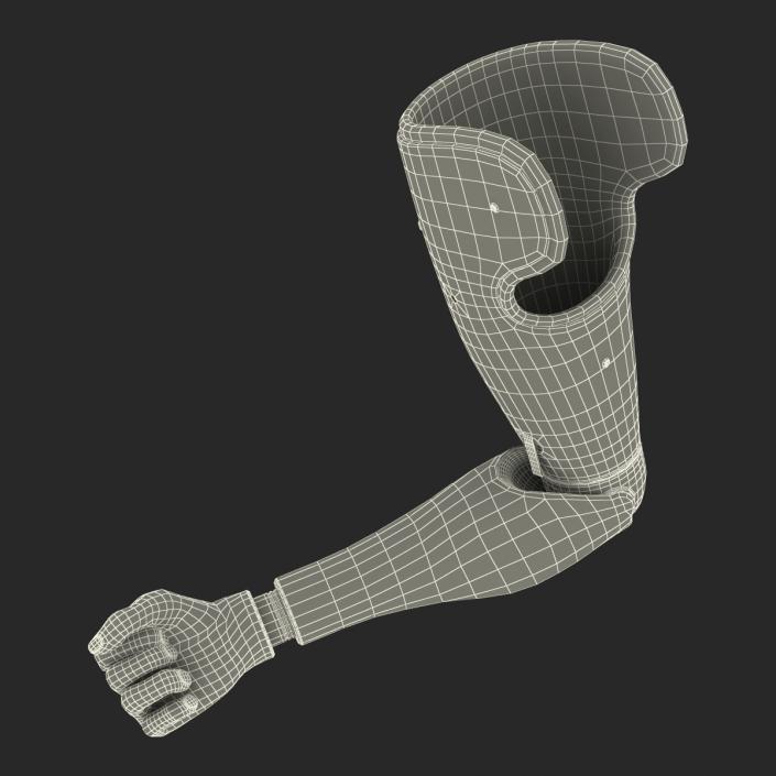 3D Prosthetic Arm Rigged