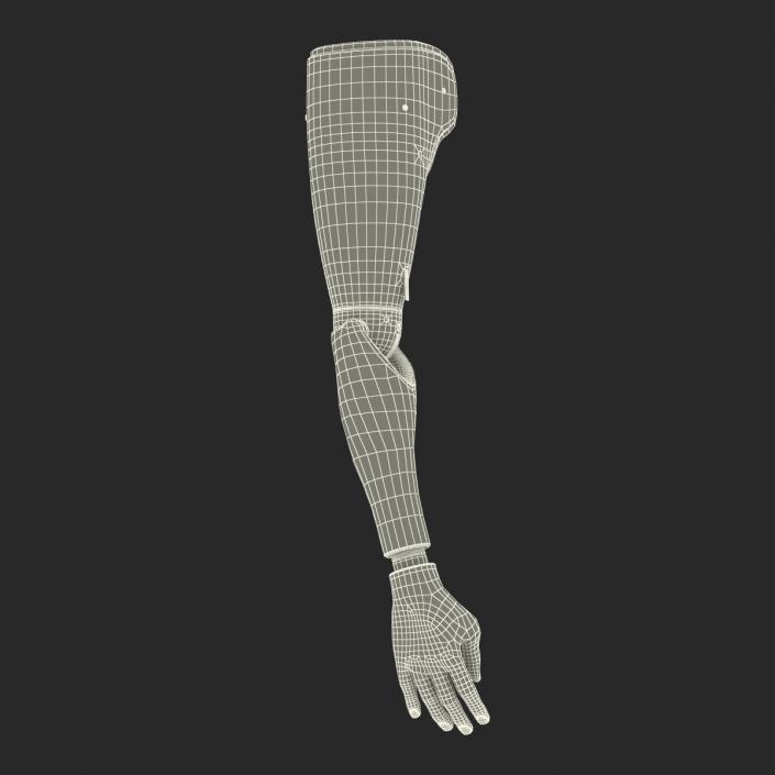 3D Prosthetic Arm Rigged