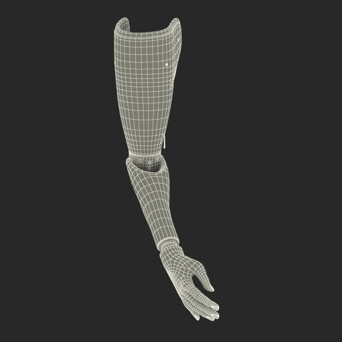 3D Prosthetic Arm Rigged