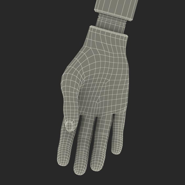 3D Prosthetic Arm Rigged