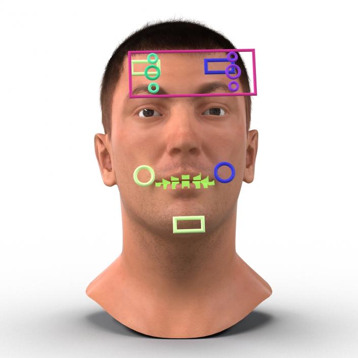 3D Male Head with Hair Rigged