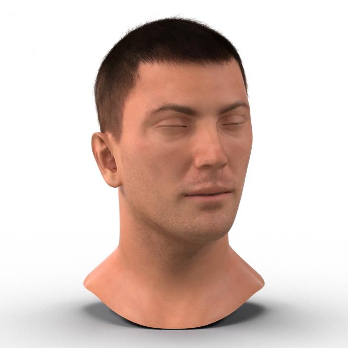 3D Male Head with Hair Rigged