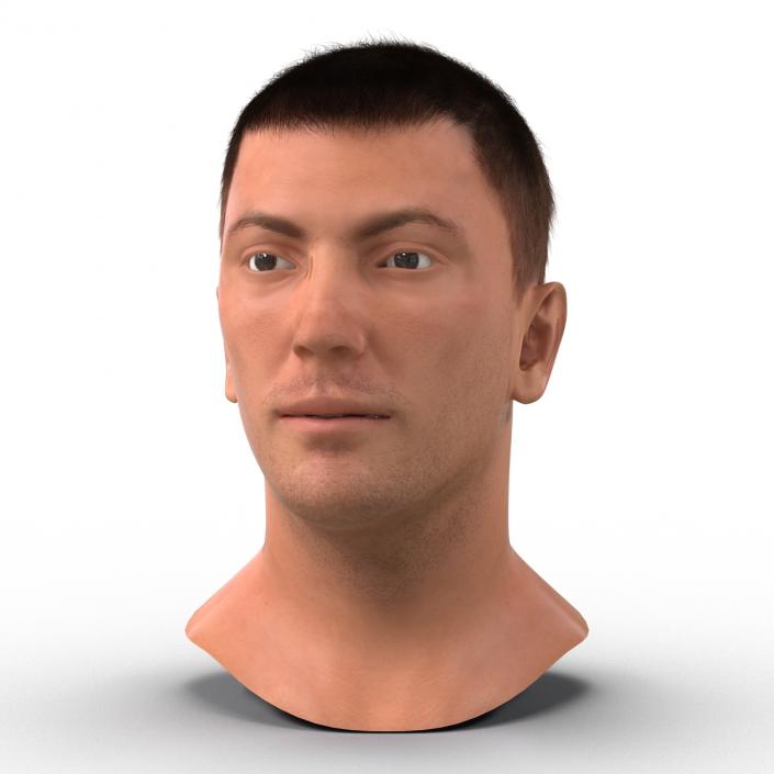 3D Male Head with Hair Rigged