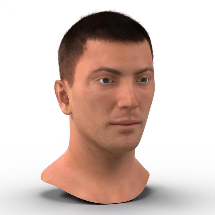 3D Male Head with Hair Rigged