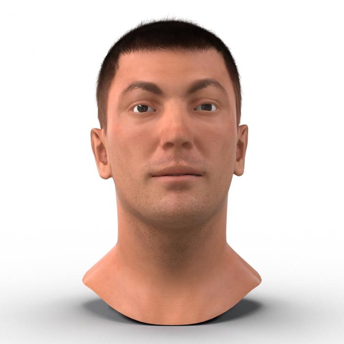 3D Male Head with Hair Rigged