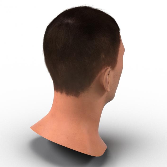 3D Male Head with Hair Rigged