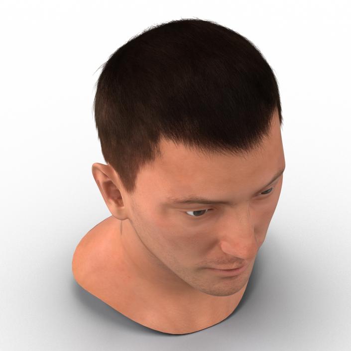 3D Male Head with Hair Rigged