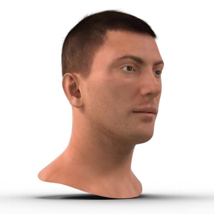 3D Male Head with Hair Rigged