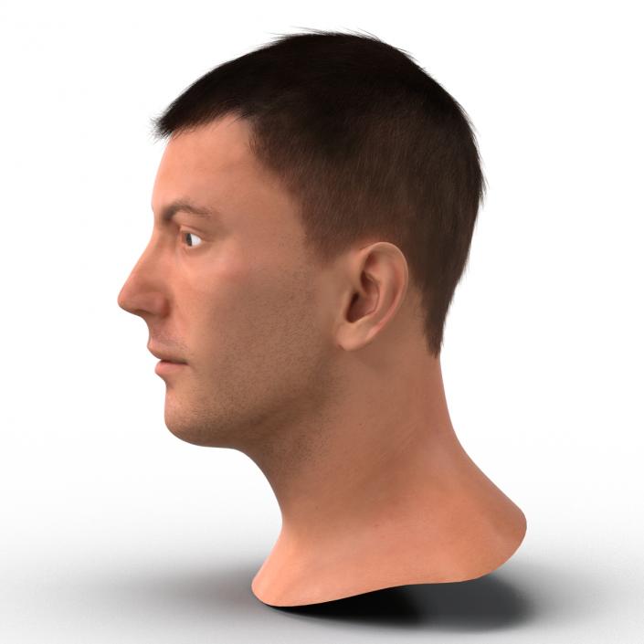 3D Male Head with Hair Rigged