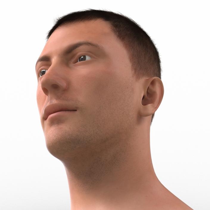 3D Male Head with Hair Rigged