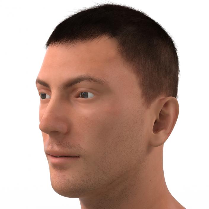 3D Male Head with Hair Rigged